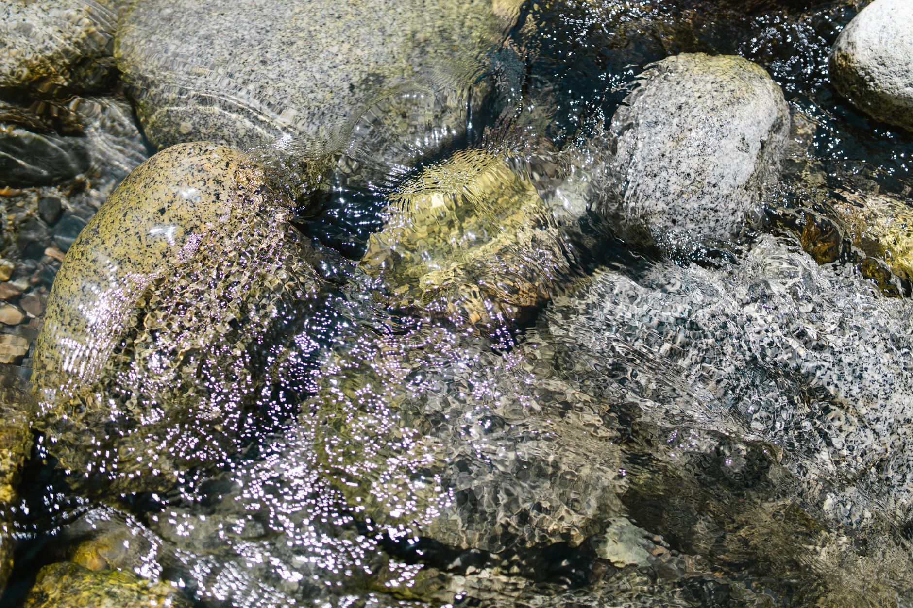 A shallow rocky trout stream in late summer, low water, sunlight on the stones